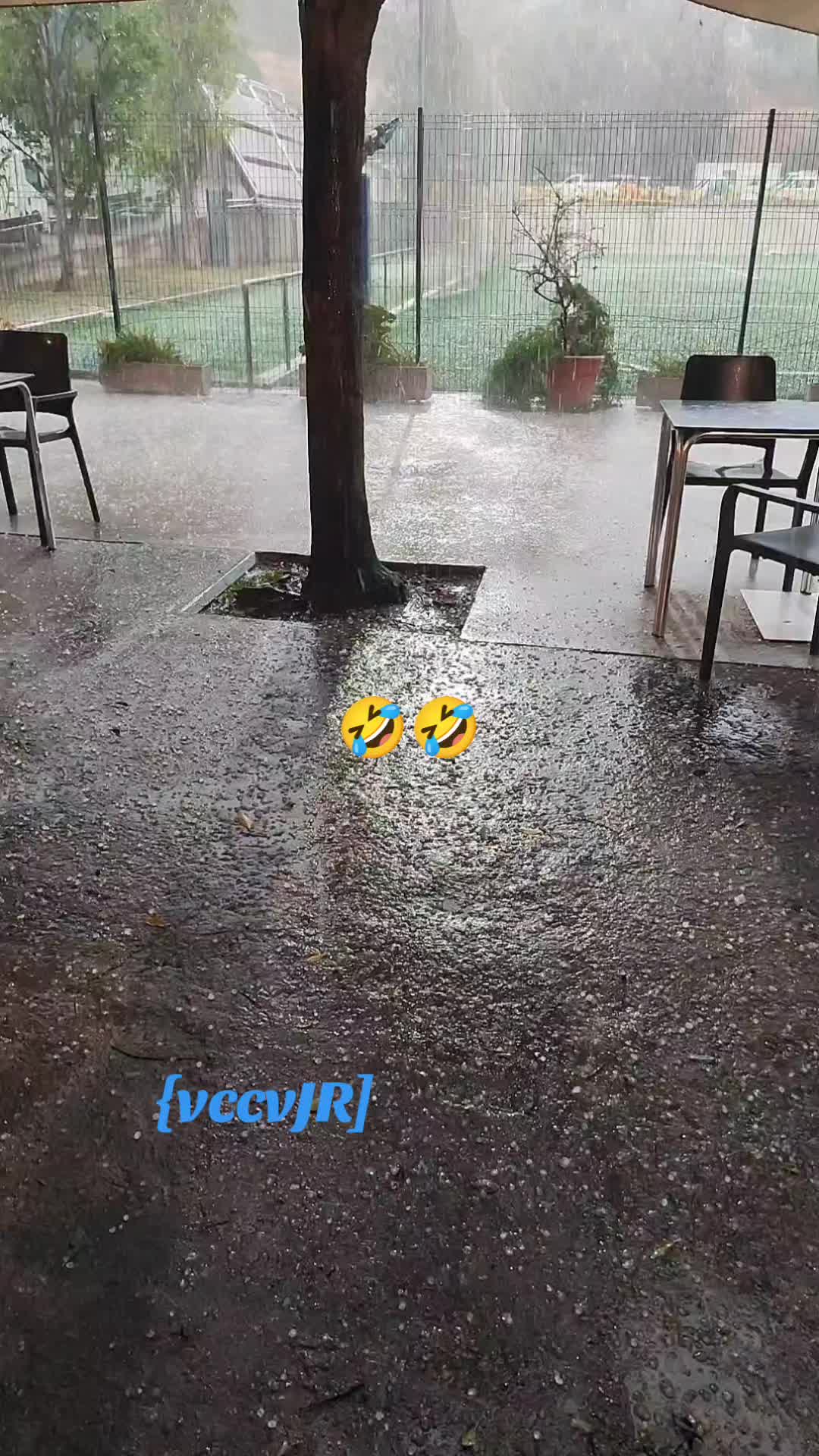 @vicenç Jr