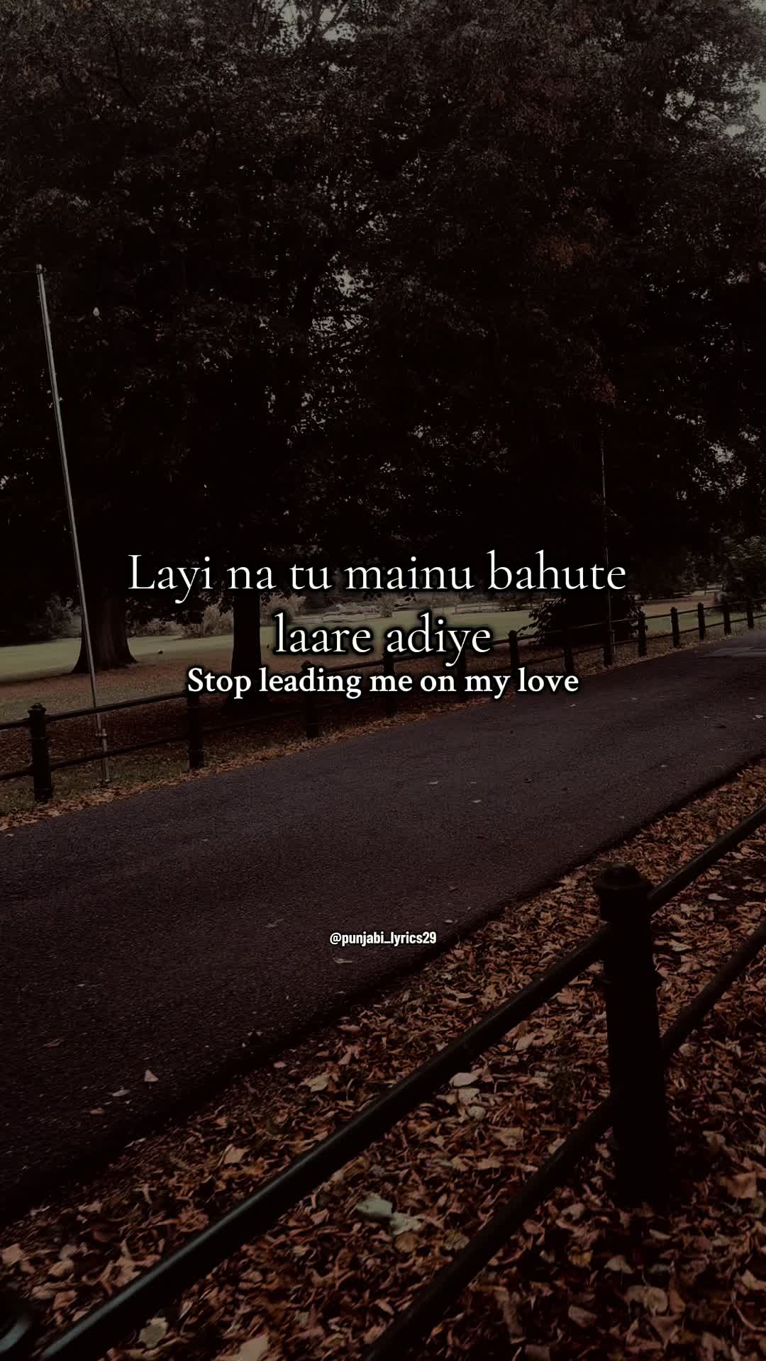 @punjabi_lyrics29