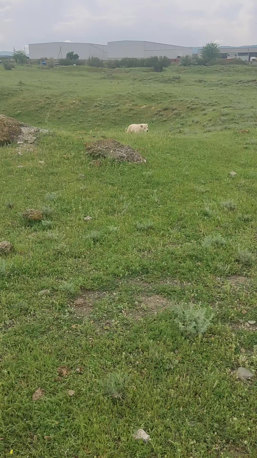 @Yalçın1