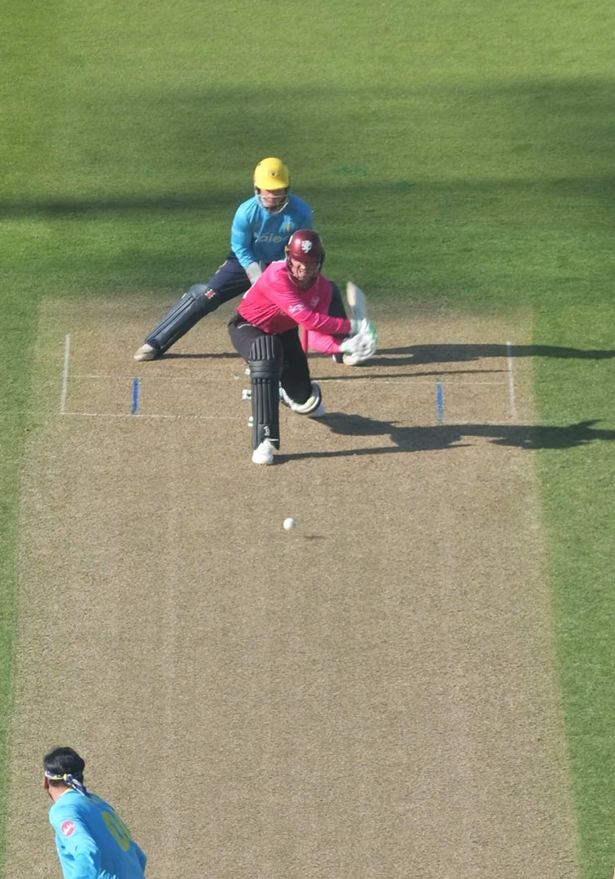 @Somerset Cricket