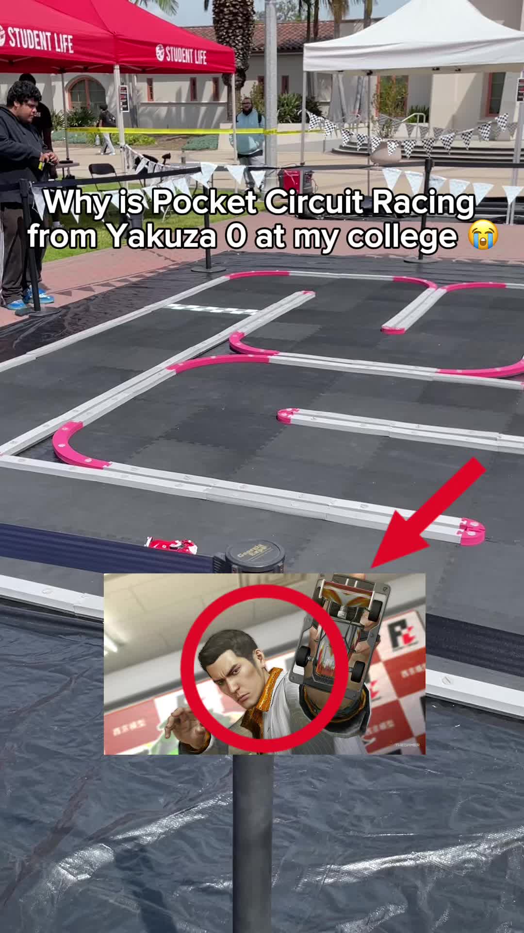 @CuteKatPhish