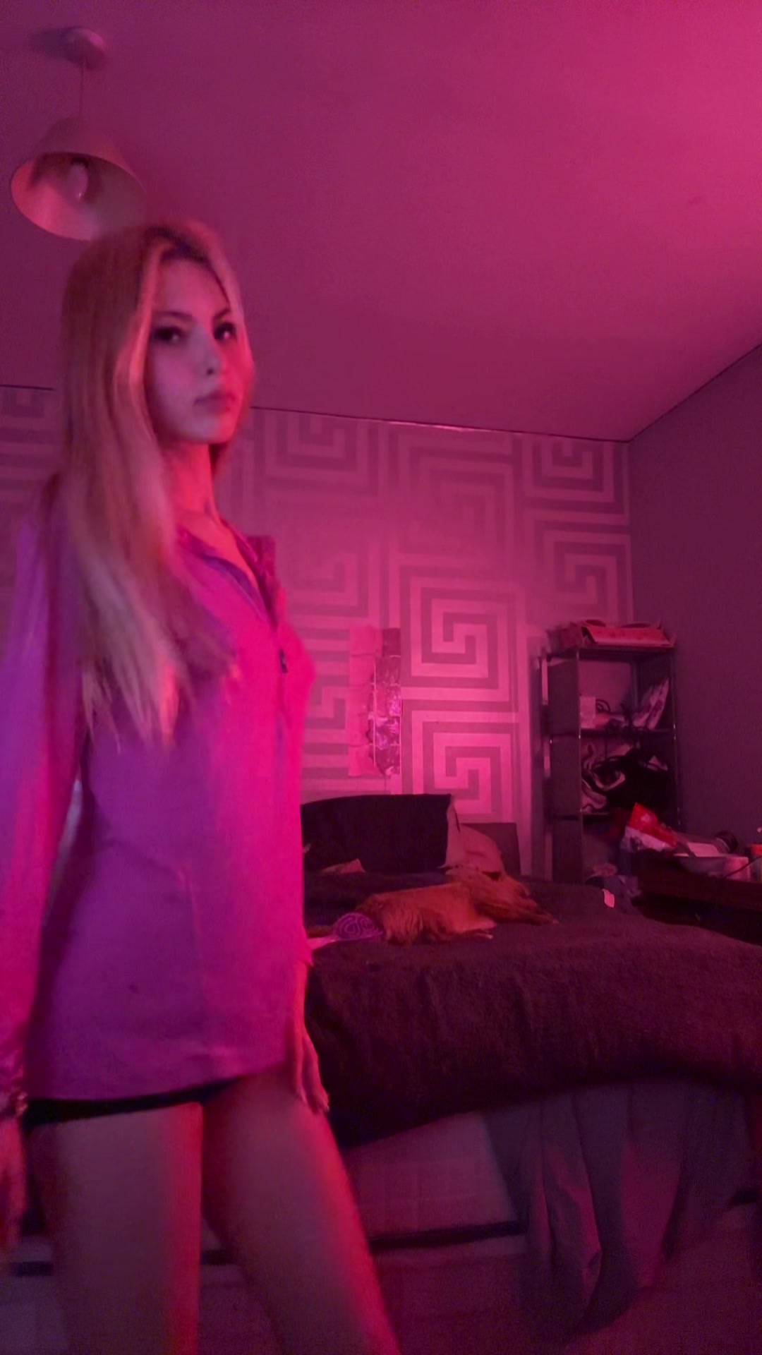 @frankiexidk
