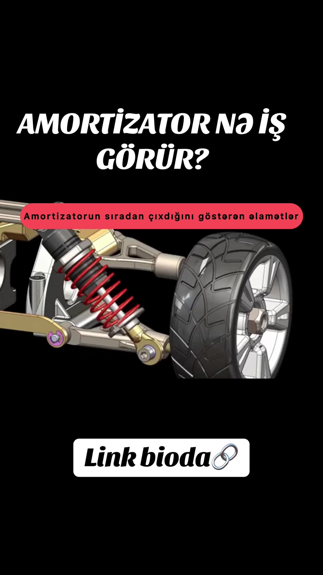 @Nicat Xaki