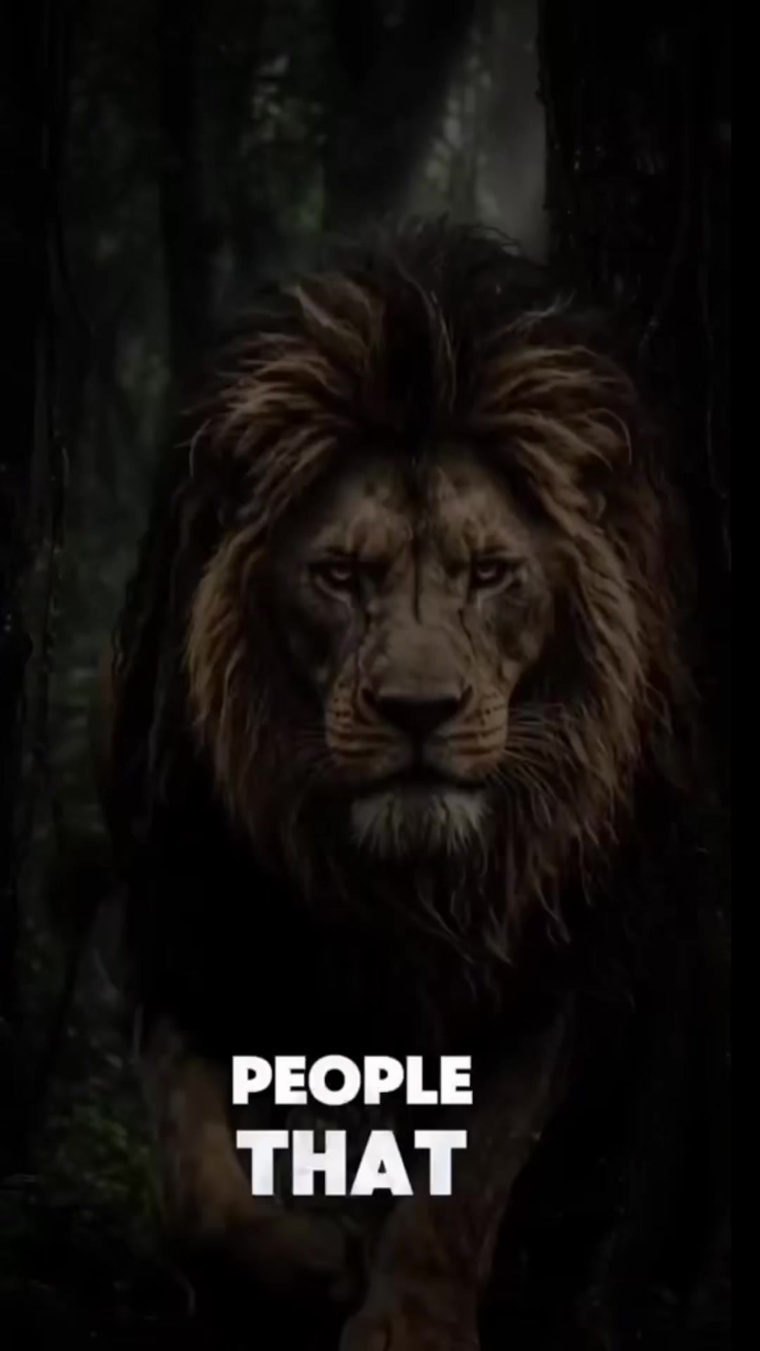 @⚜️Mr786⚜️