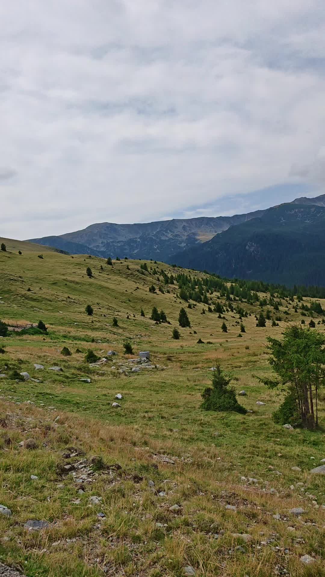 @constantinnouras
