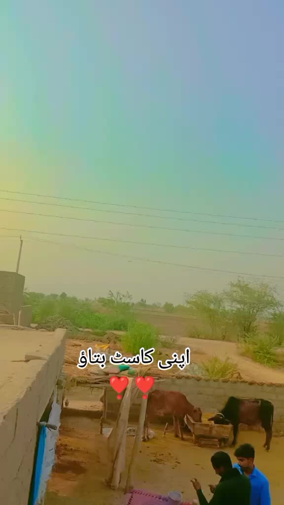@Ayesha mayo🤍