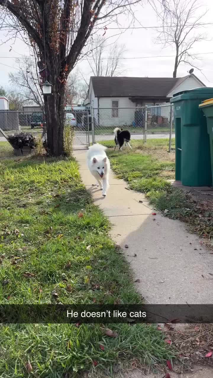 @Dakota Higdon