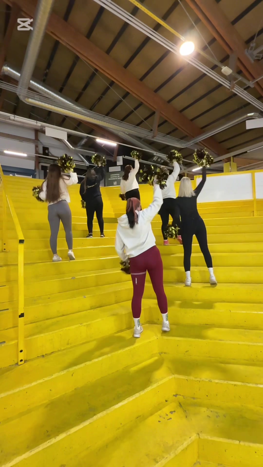 @SaiPa Cheerleaders