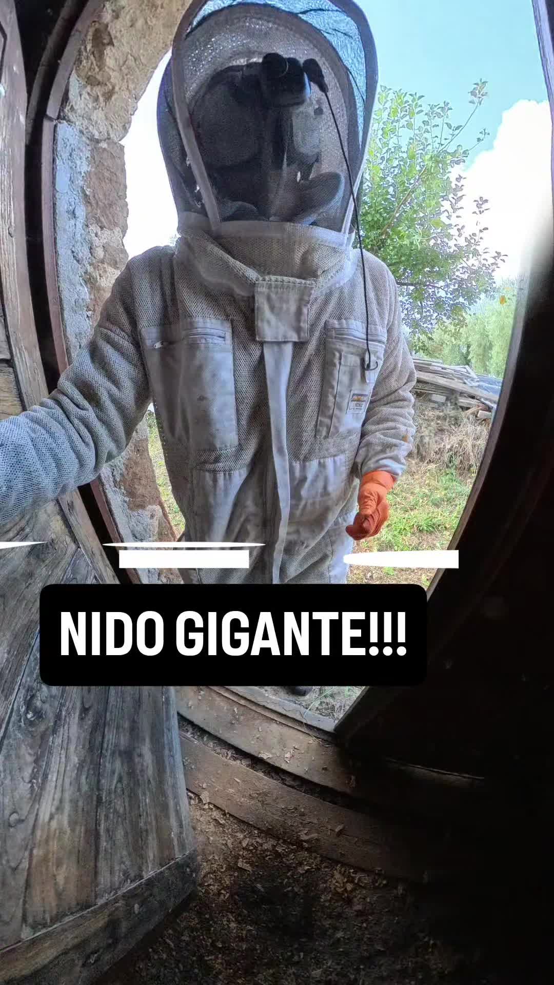 @Daniel Palmieri