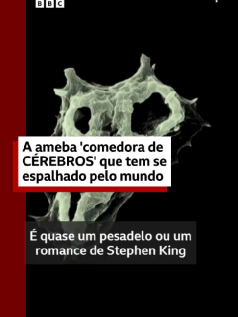 @BBC News Brasil