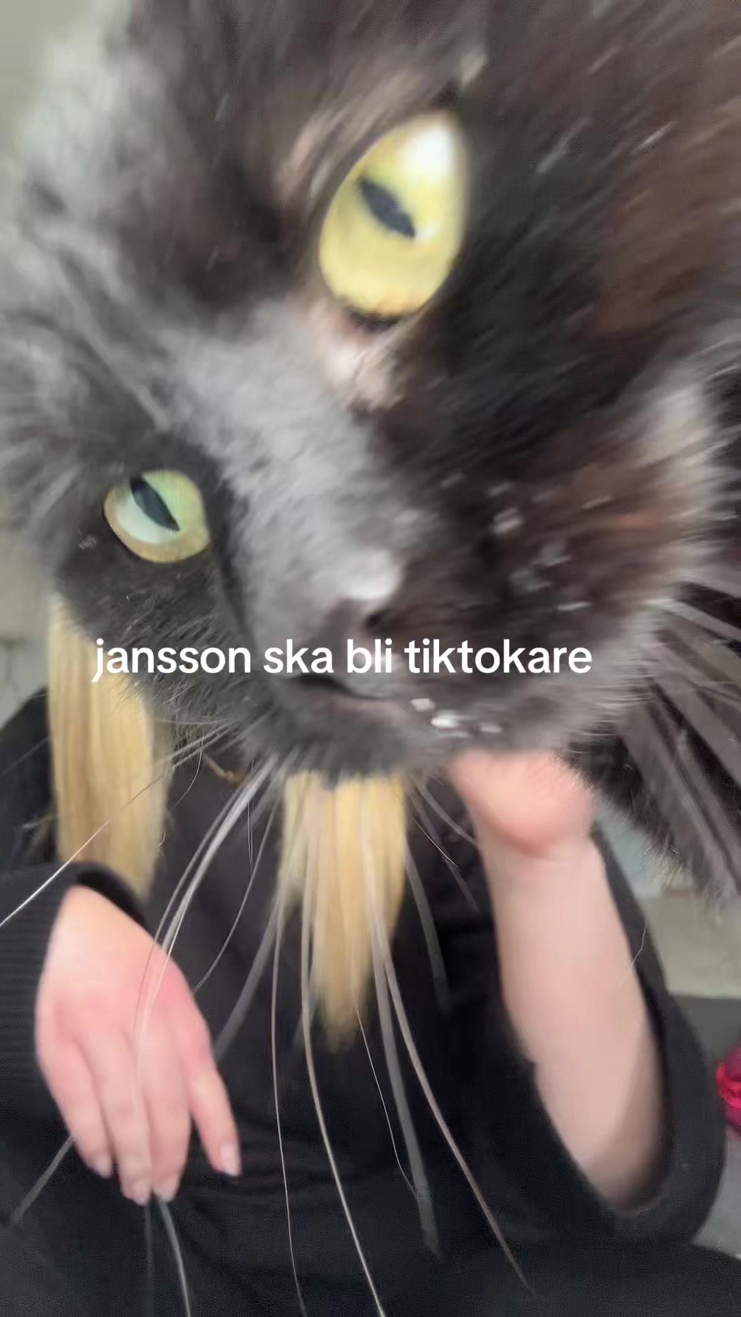 @lisen_girl_spam