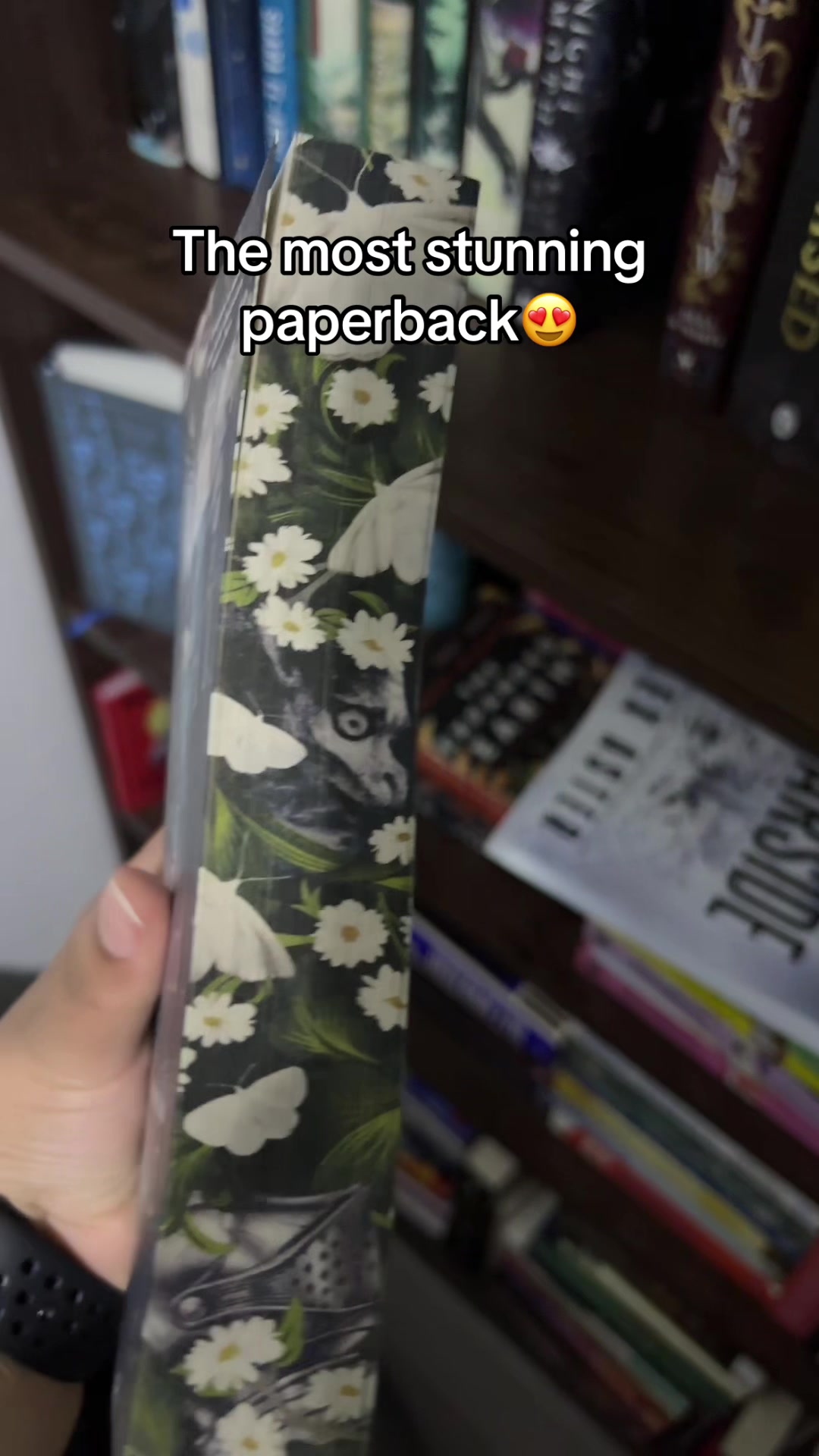 @Navi📚🐉✨| booktok