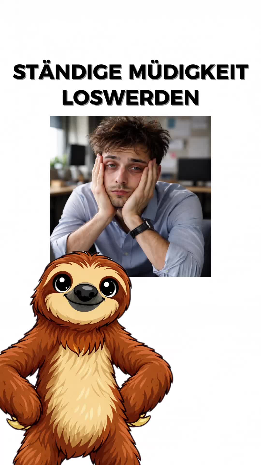 @FaultierFakten 🦥