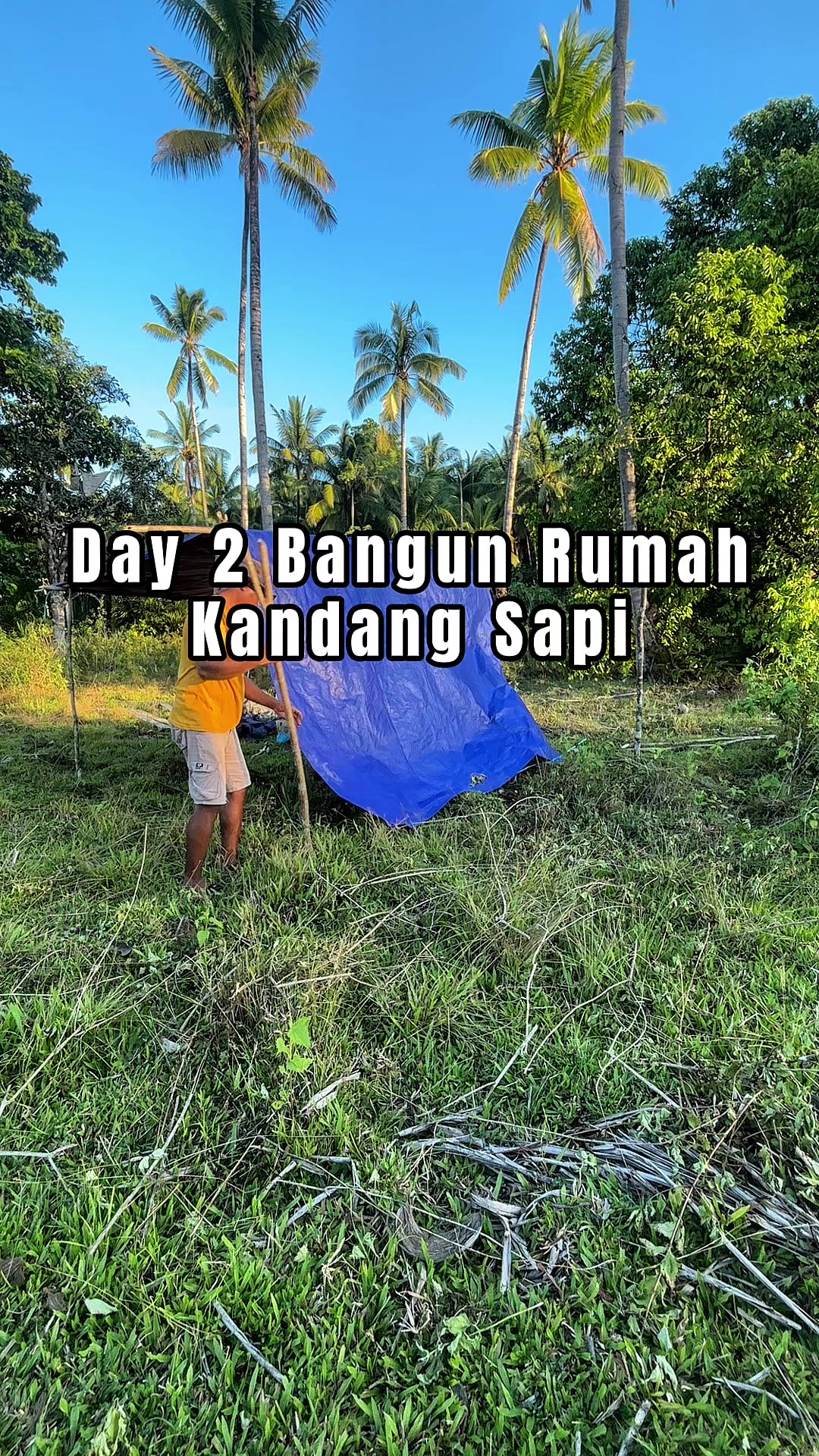 @Ka Bong 🌴