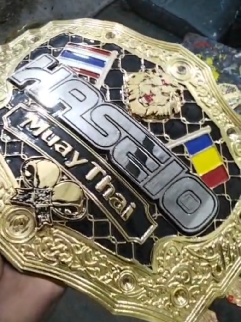 @MMA Transilvania Cluj-Napoca