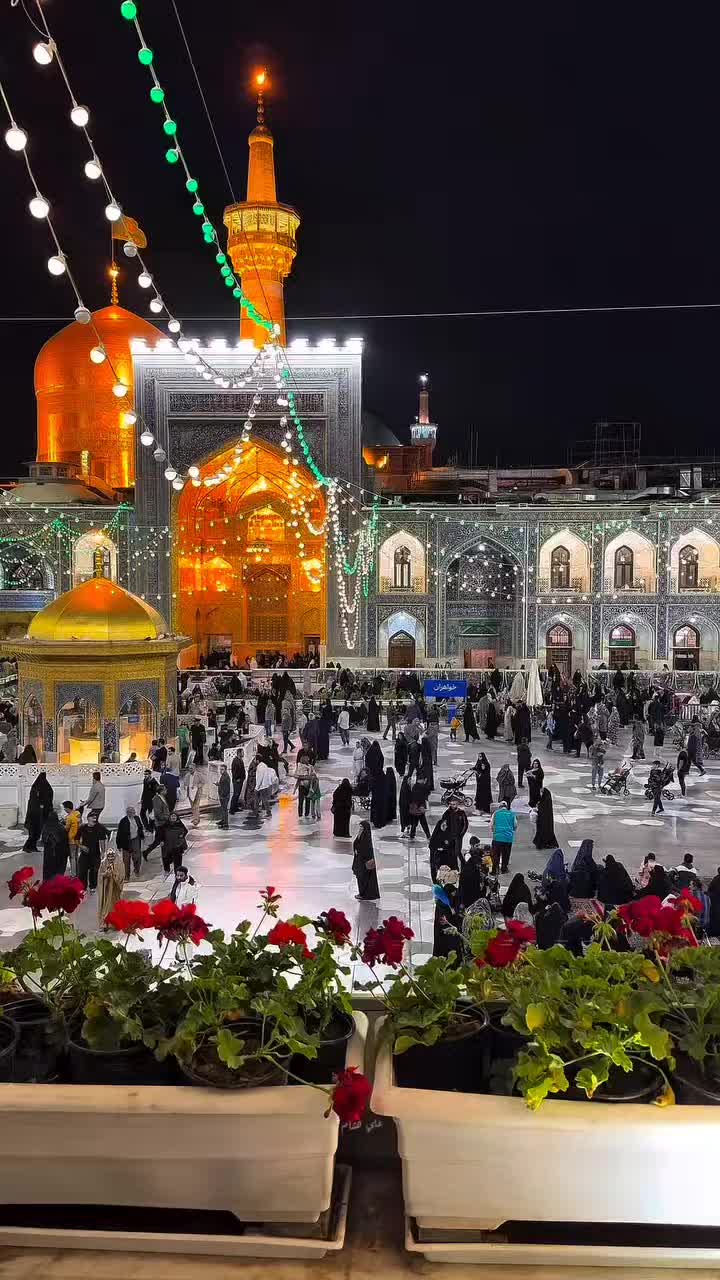 @𝐙𝐀𝐈ن𝐀𝐋𝐈ރ