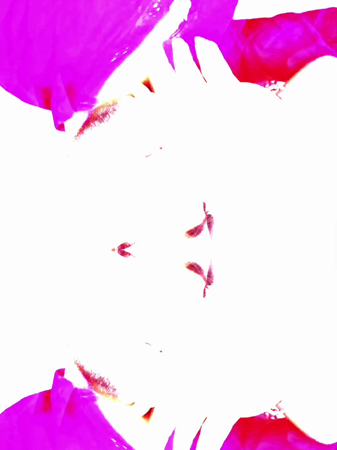 @꧁༒꧁༒☬𝓡𝓪𝓼𝓱𝓲𝓭.𝓐𝓵𝓲☬༒꧂☬༒꧂
