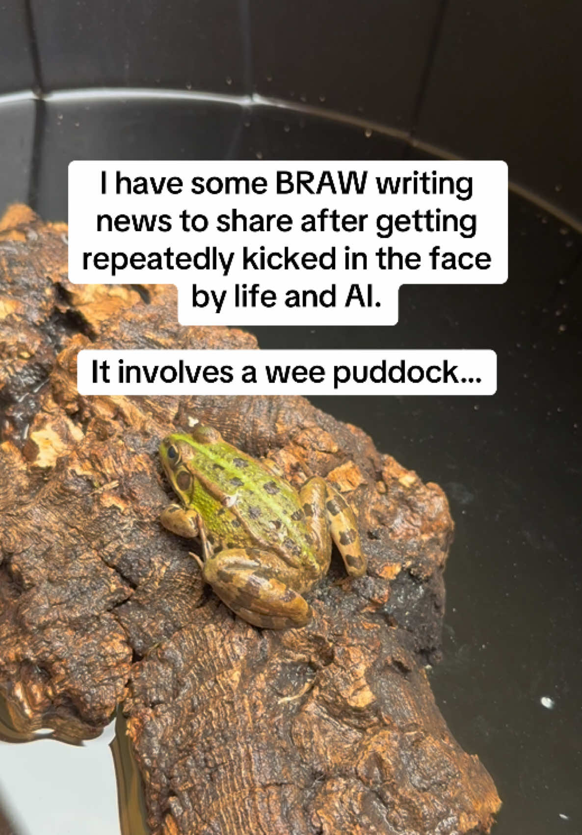 @Emma Grae I Author