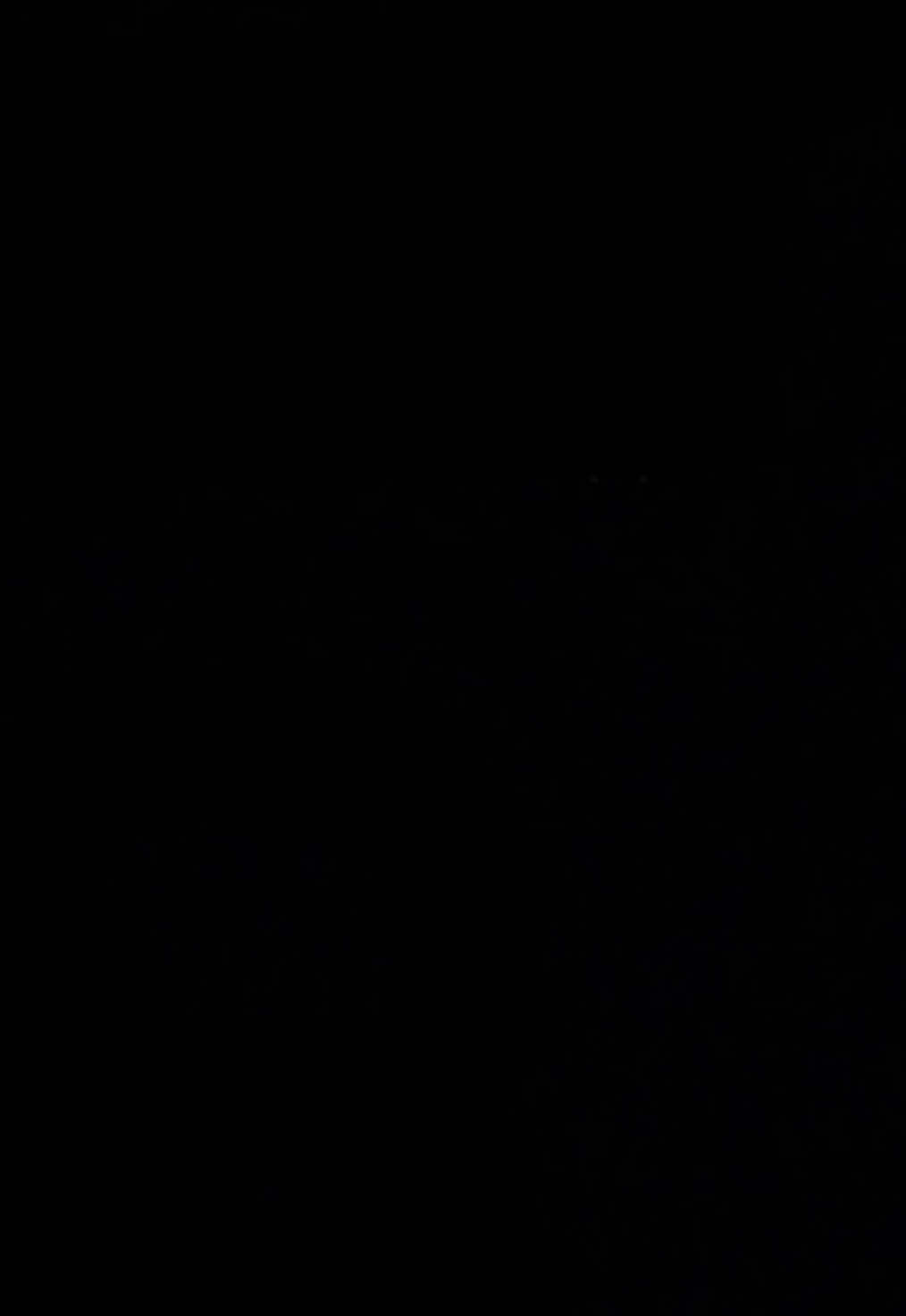 @7.ele7