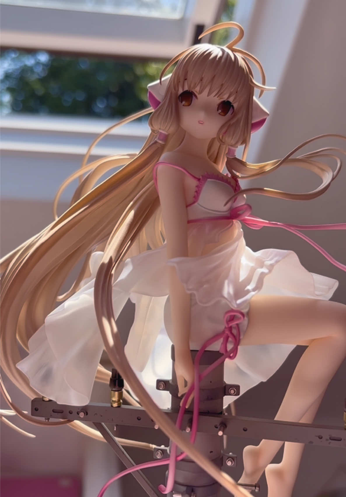 @𝒶𝓃𝒾𝒷𝒶𝒷𝓎𝓎