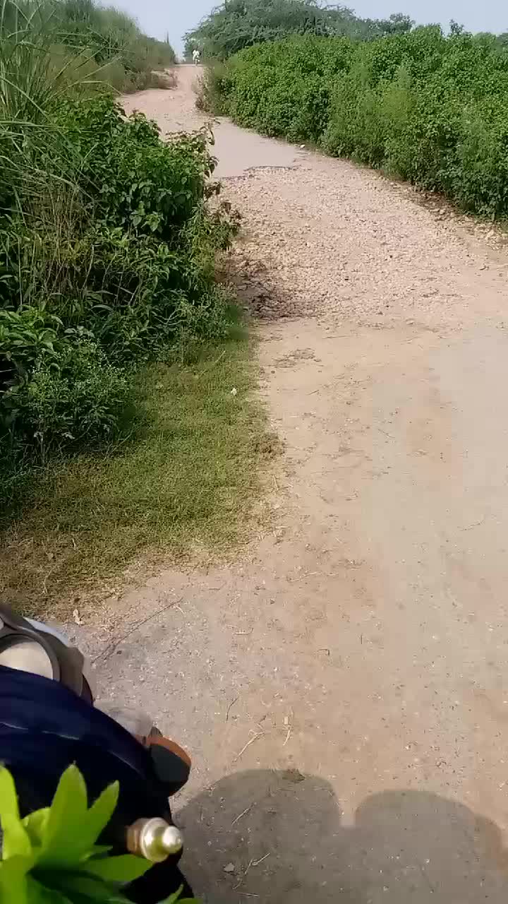 @wajid ali bop