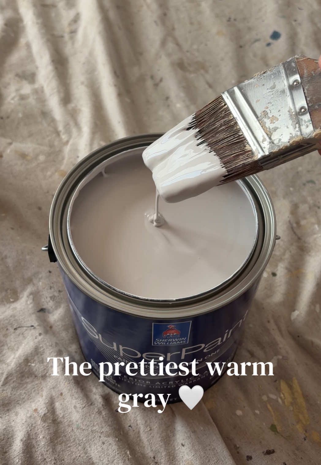 @Megan&rsquo;s Paintings 🖌️