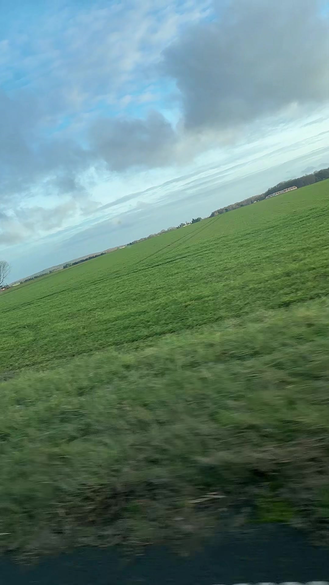 @imran.maroofkhil