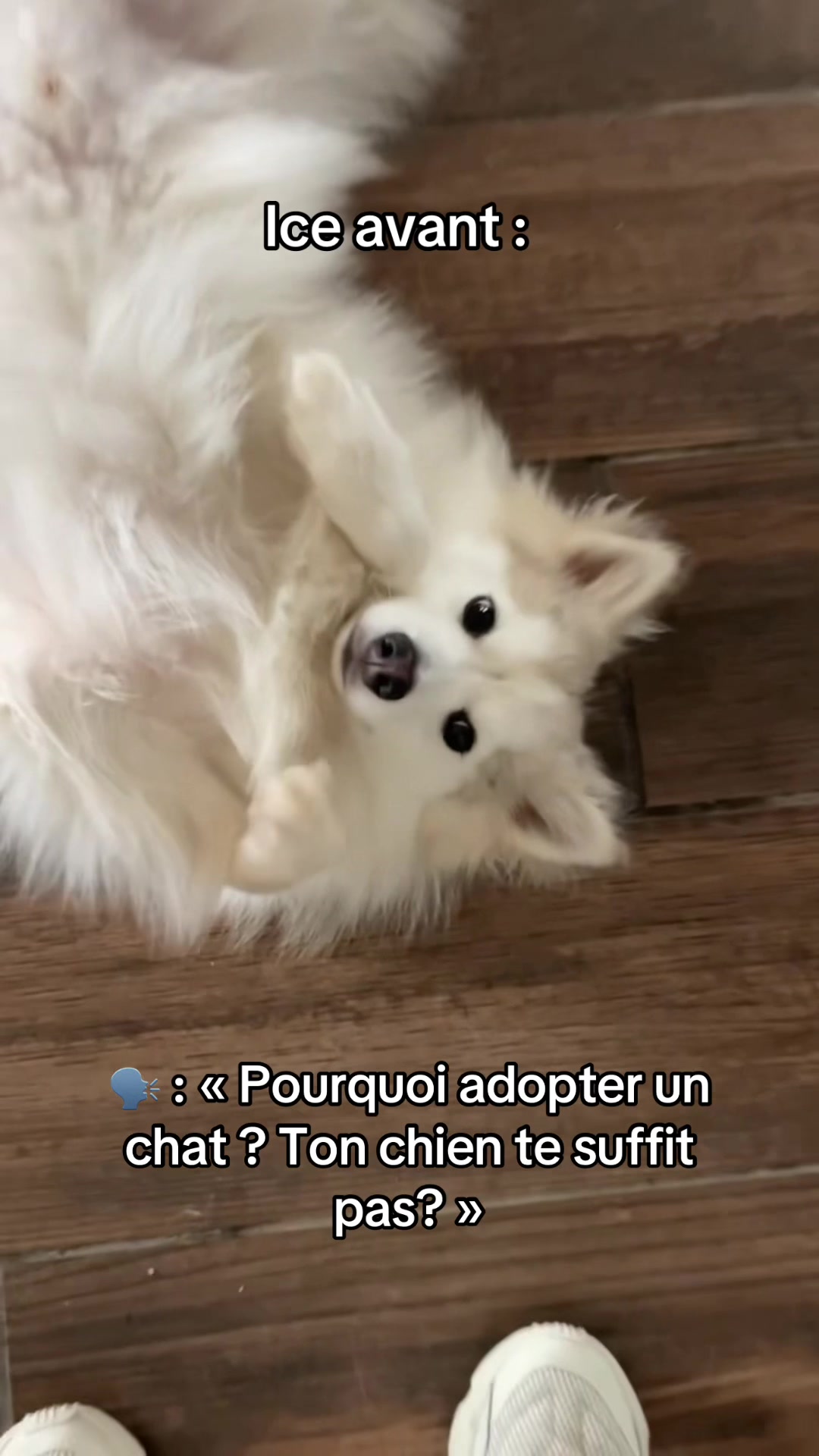 @Madame TRUFFE 🧆