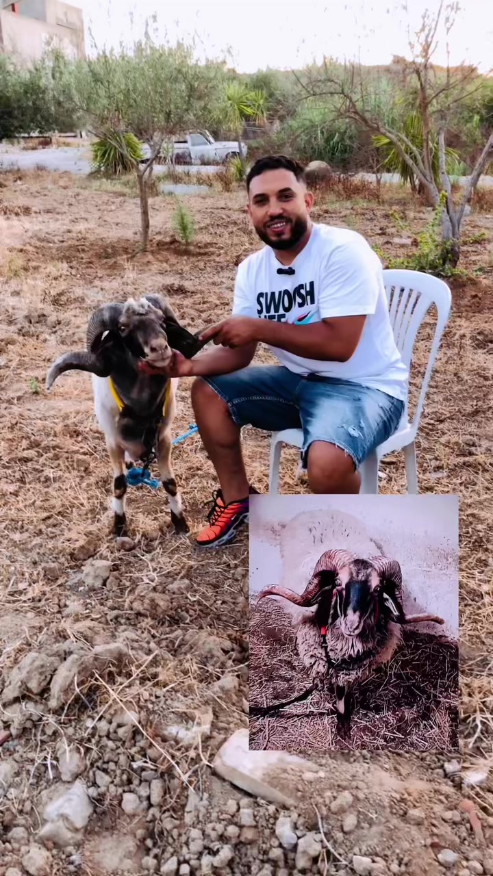 @سيف غرام زمان 🇹🇳