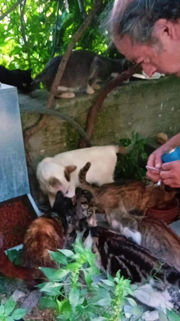 @Greek Animal Rescue