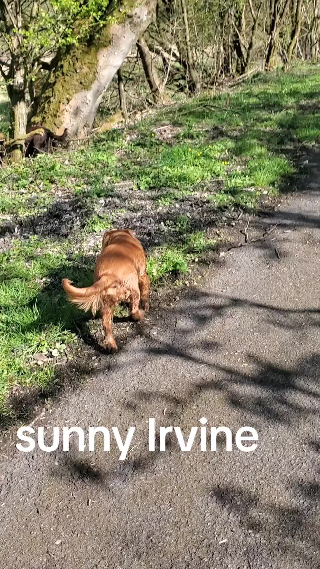 @windowman7