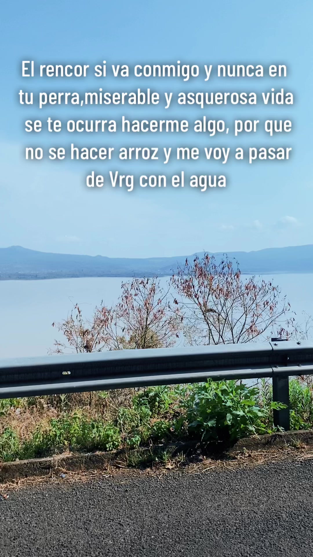 @Hugo Arevalo