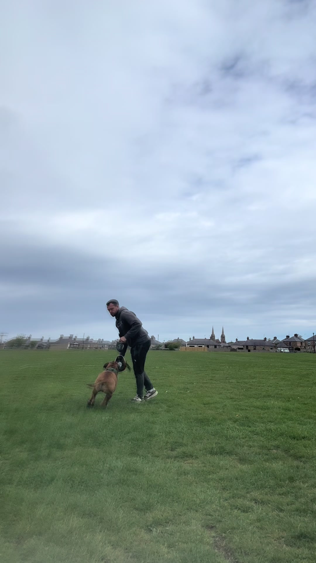 @Michael || Dog Trainer