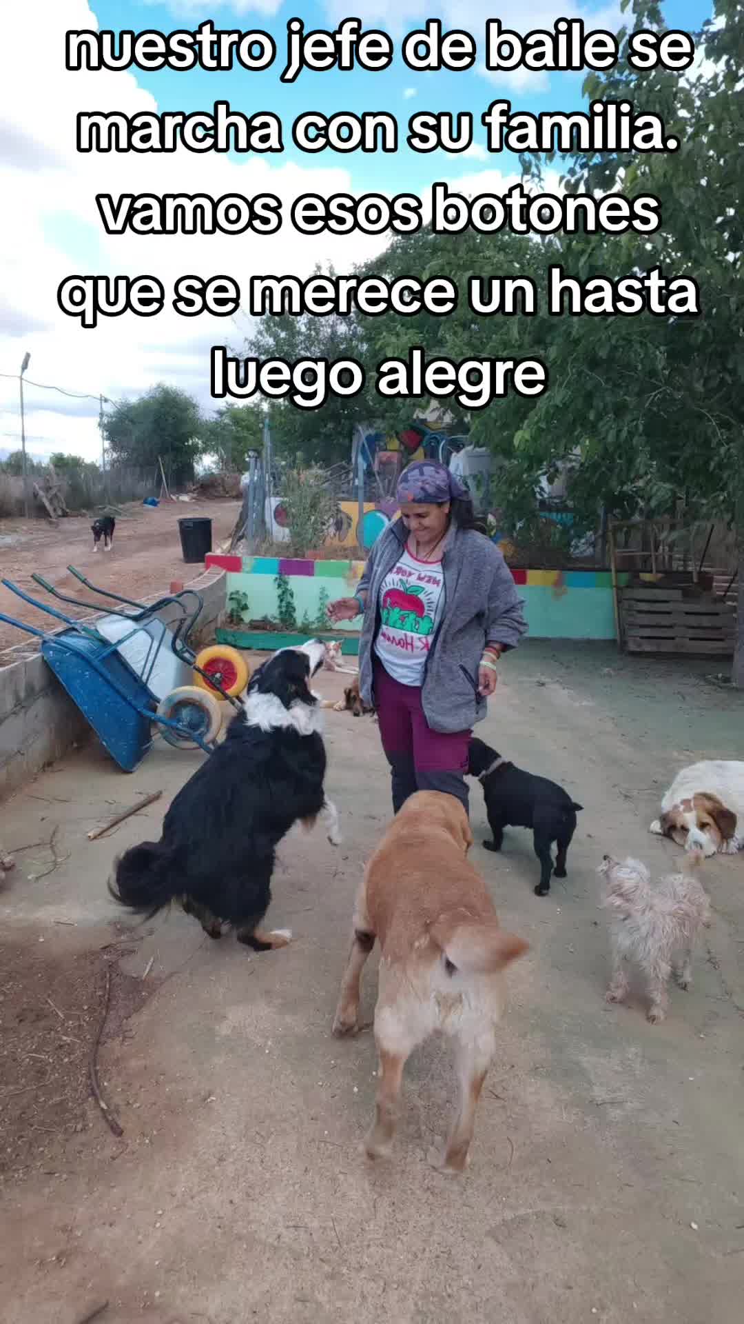 @Lamanadademontse