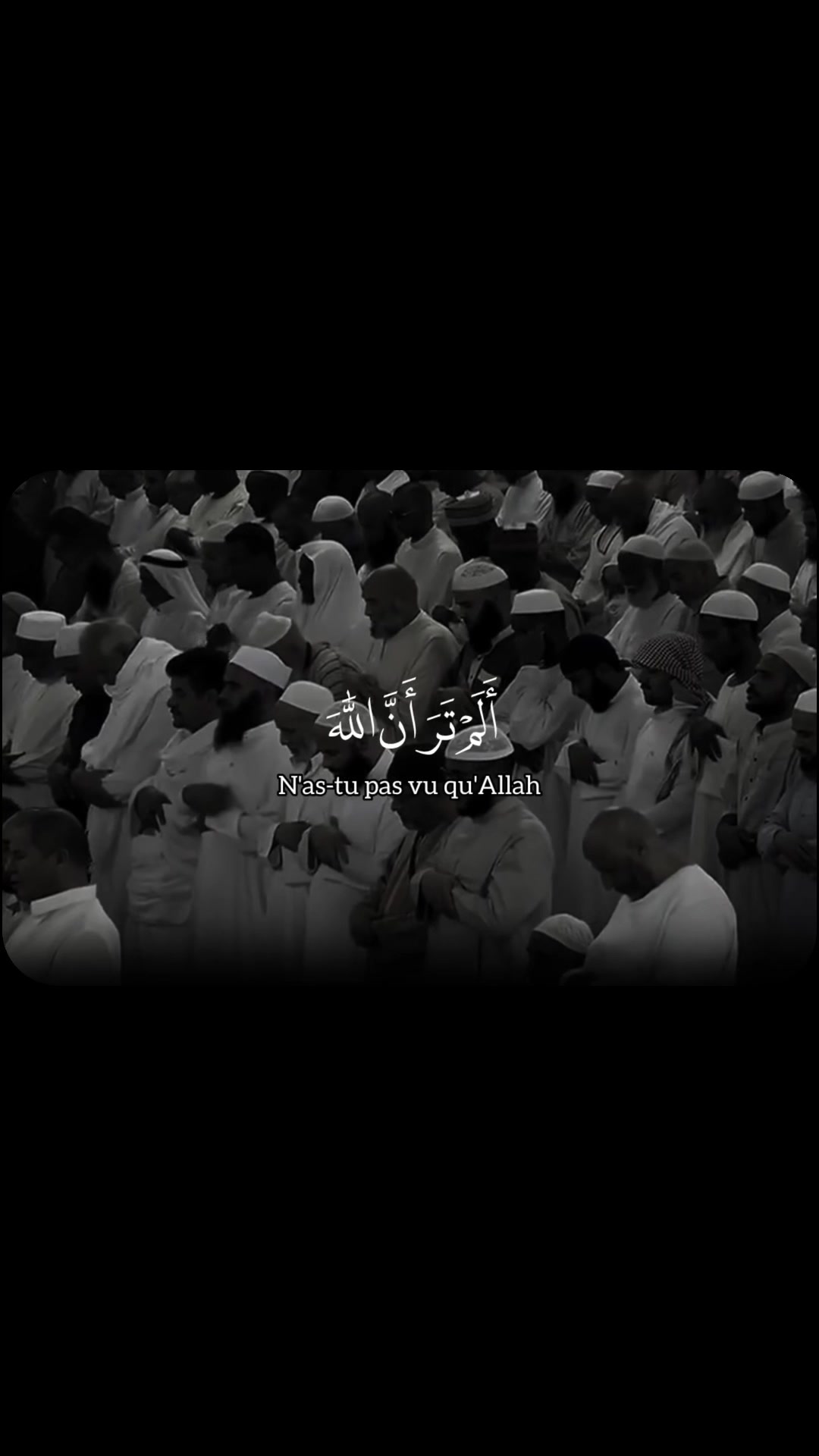 @Quran🤍 Recitation 🎙️
