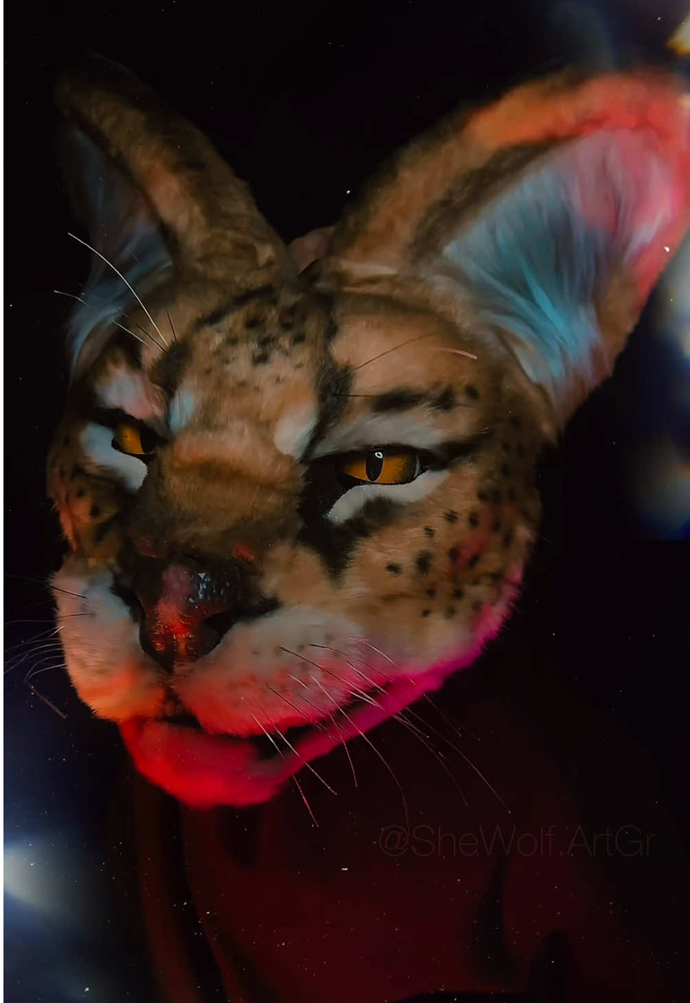 @SʜᴇWᴏʟғ.AʀᴛGʀ