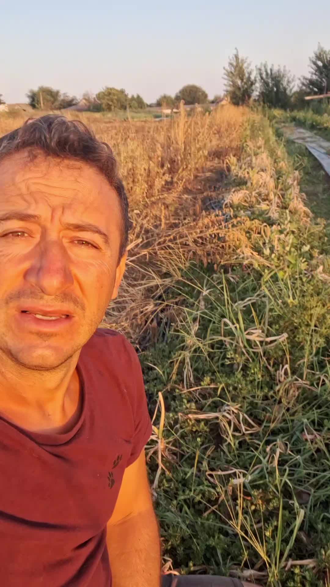 @Gradina Olteanului Enciu Doru