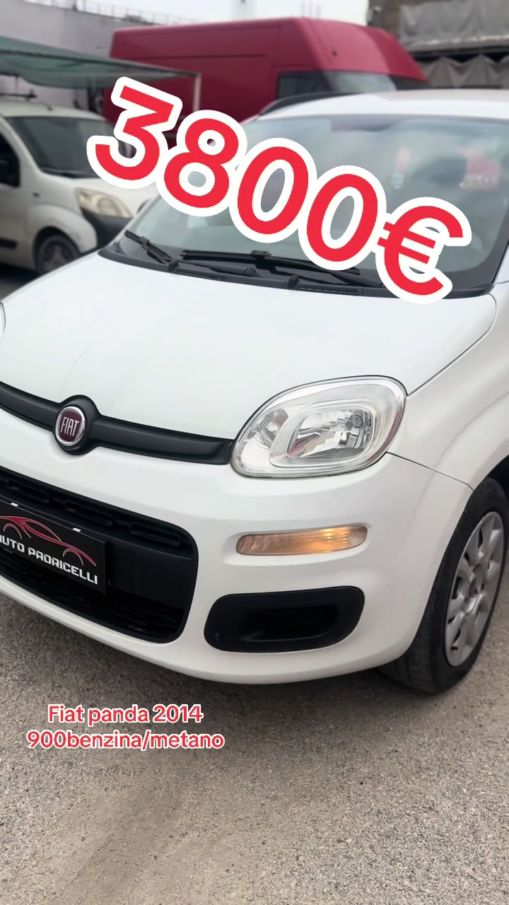 @AutoPadricelli