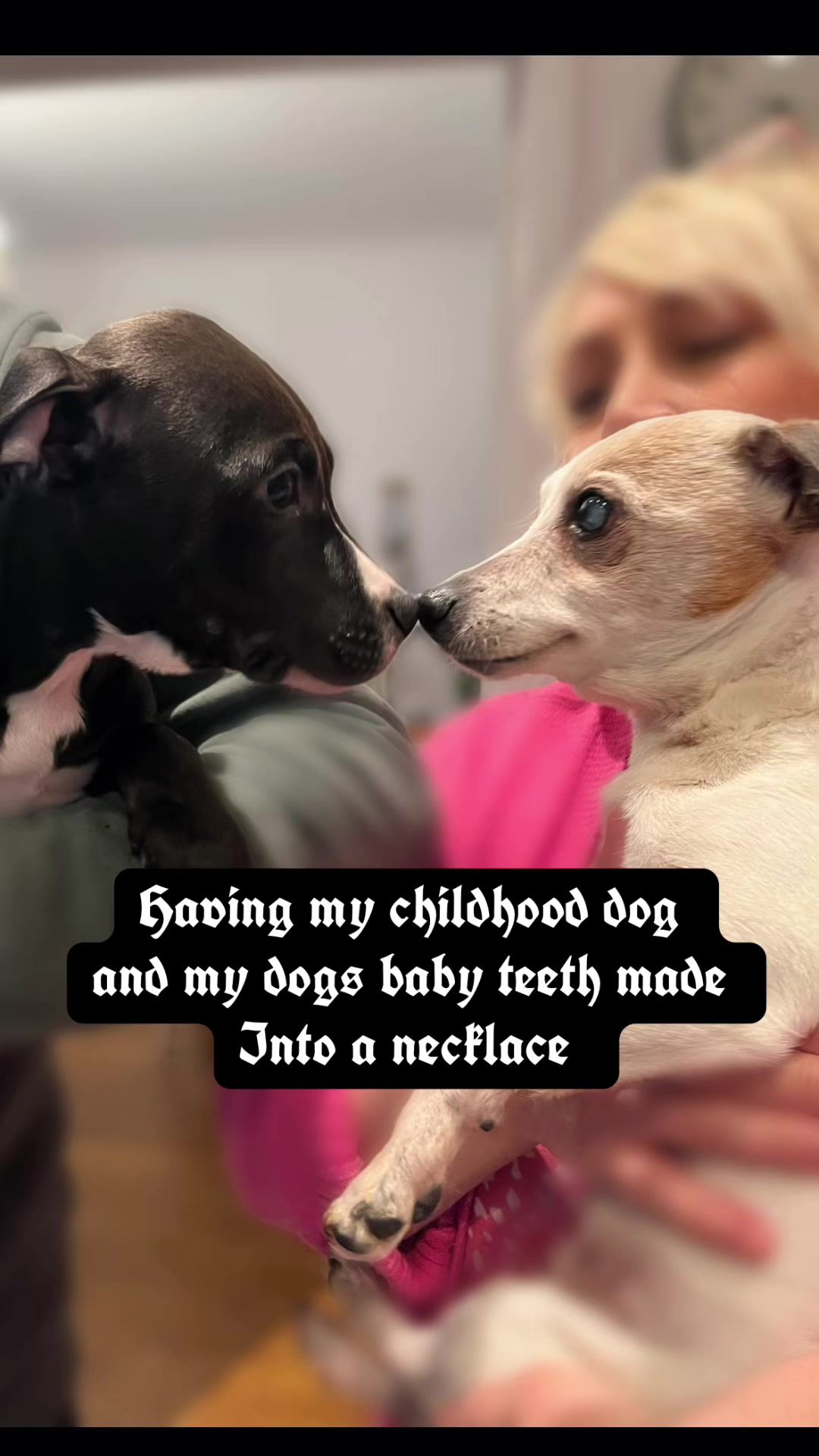 @𝕸𝖎𝖑𝖑𝖎𝖊🦇