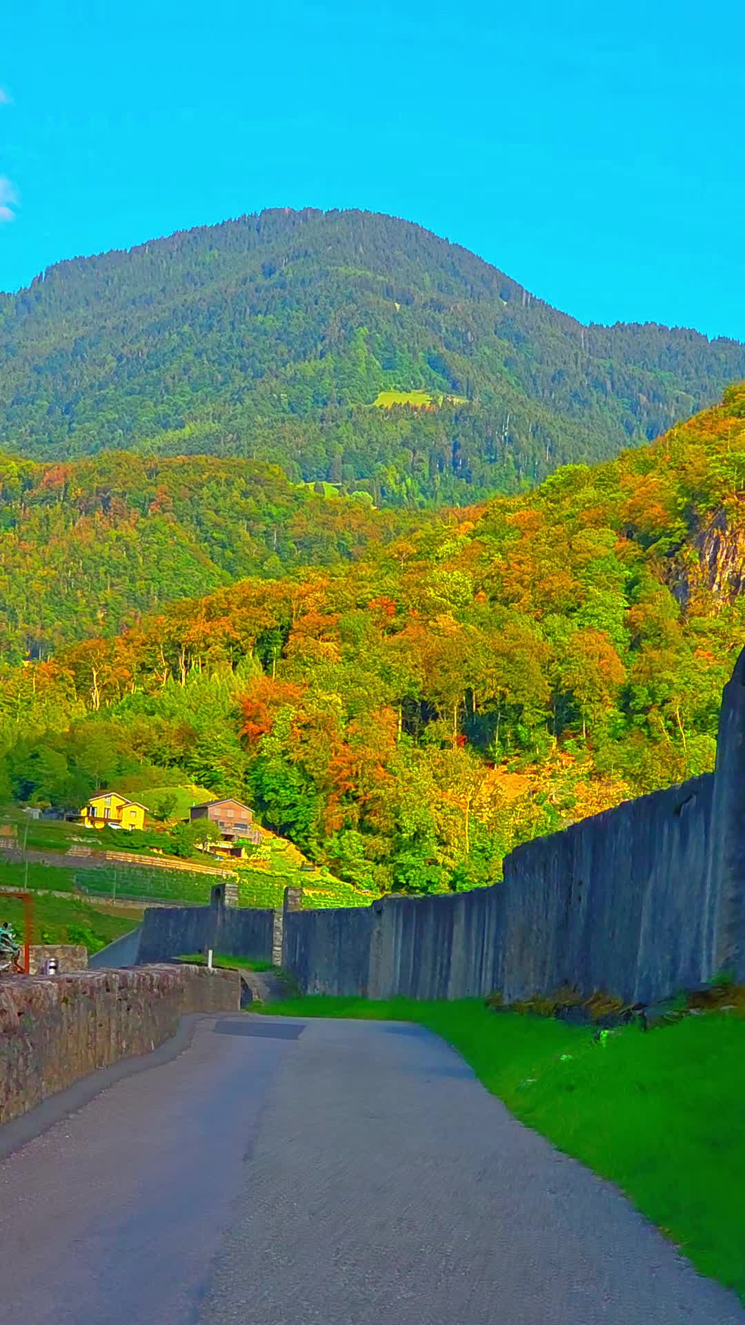 @🇨🇭flores Sérgio 🇵🇹