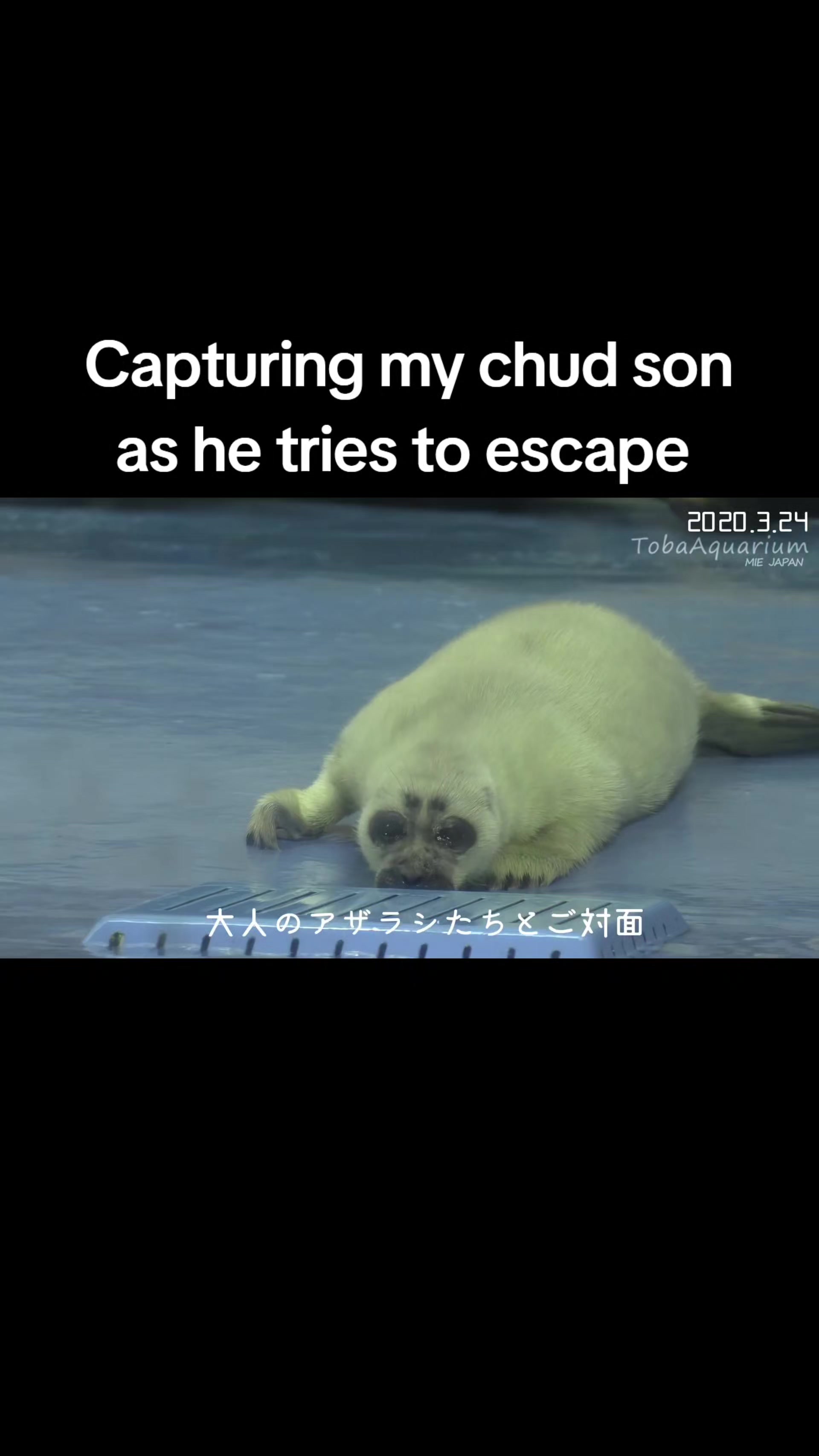 @Ray 🦭 :3