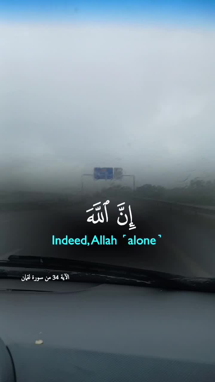 @salmahoura