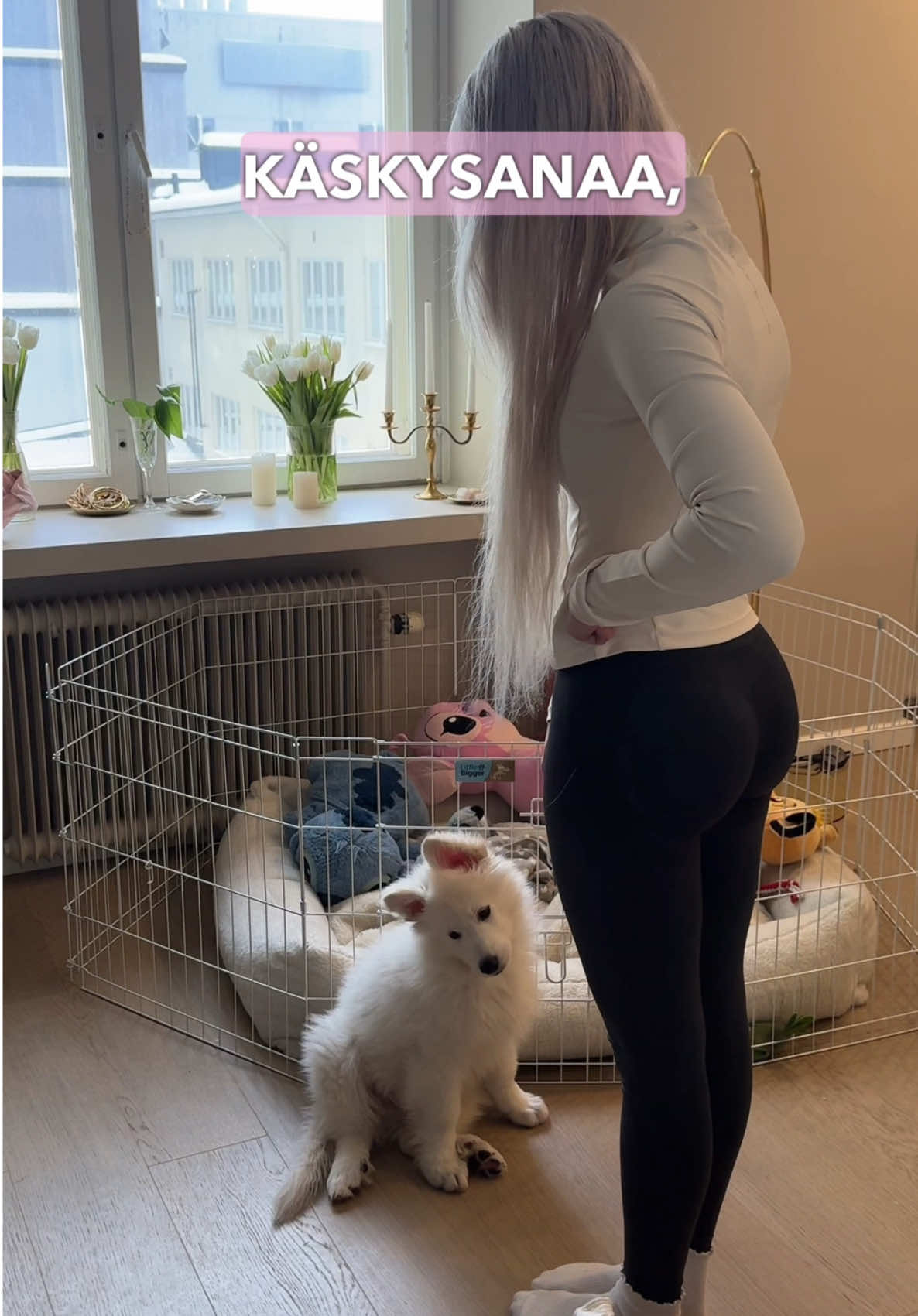 @JENESIS