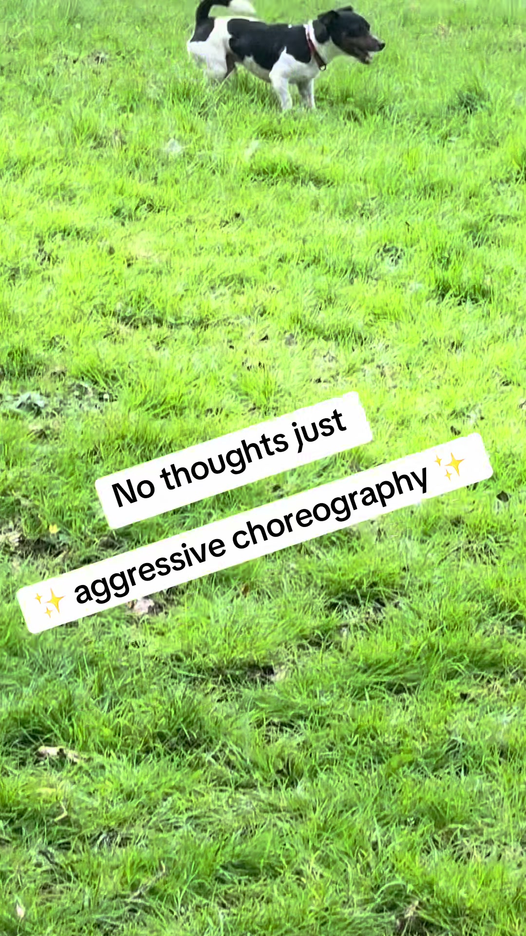 @Bex