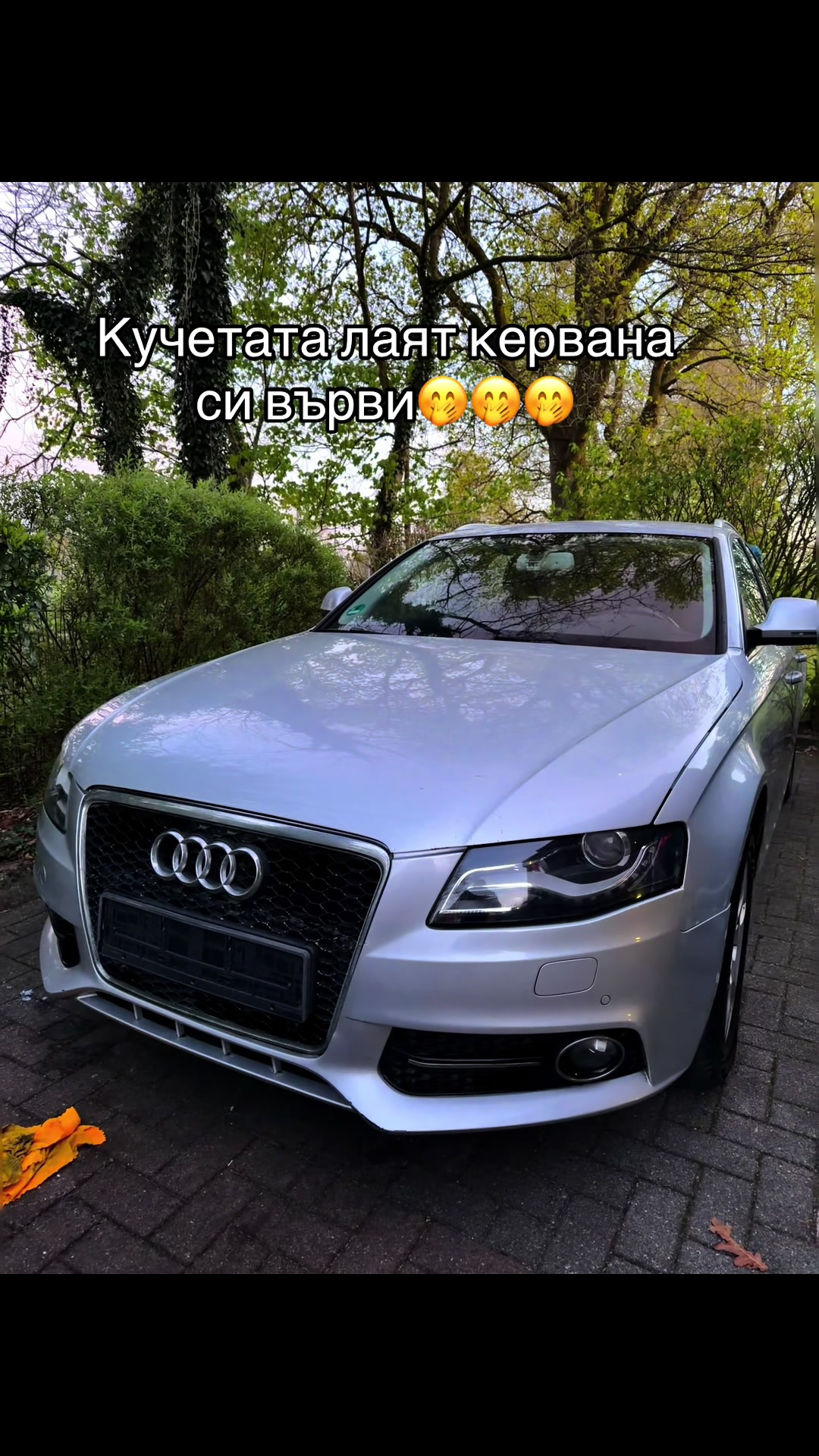 @Мишо Данаилов