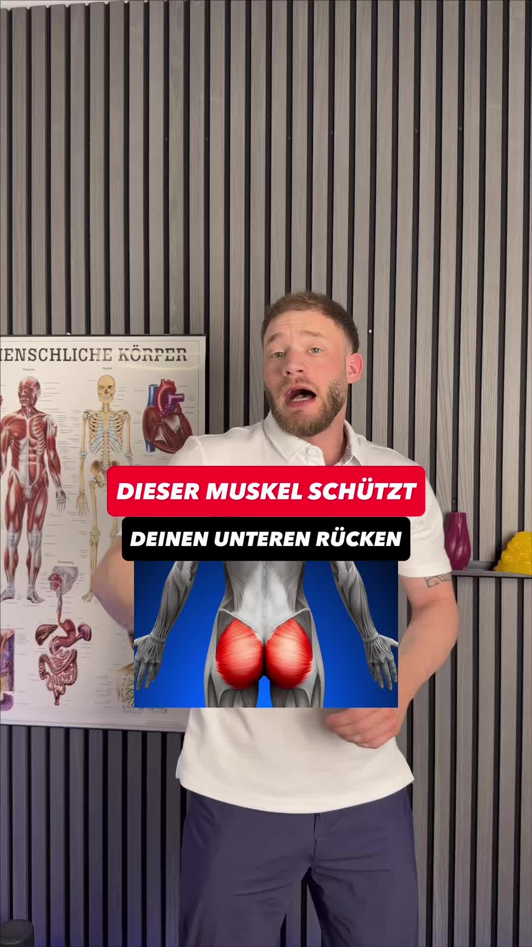 @Coach Tim | Rücken & Hüfte