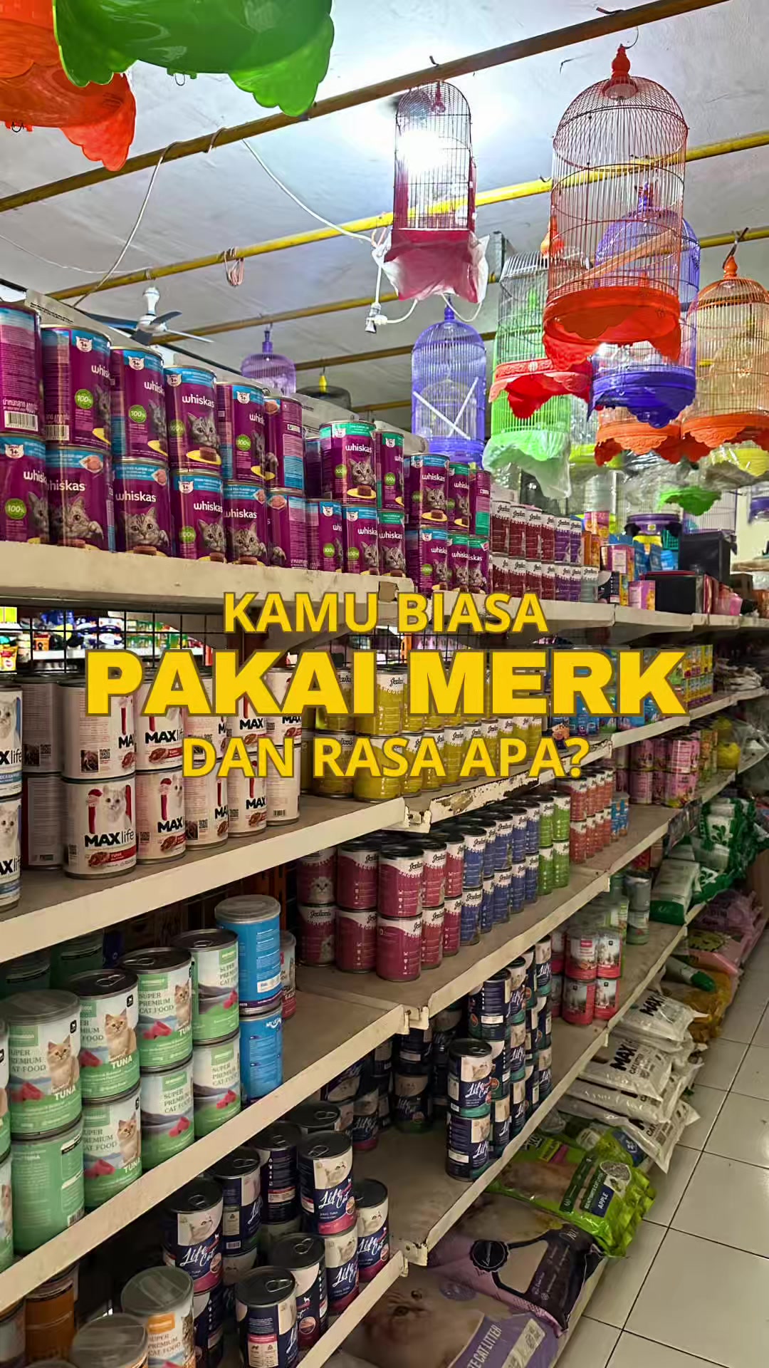 @bejo petmart