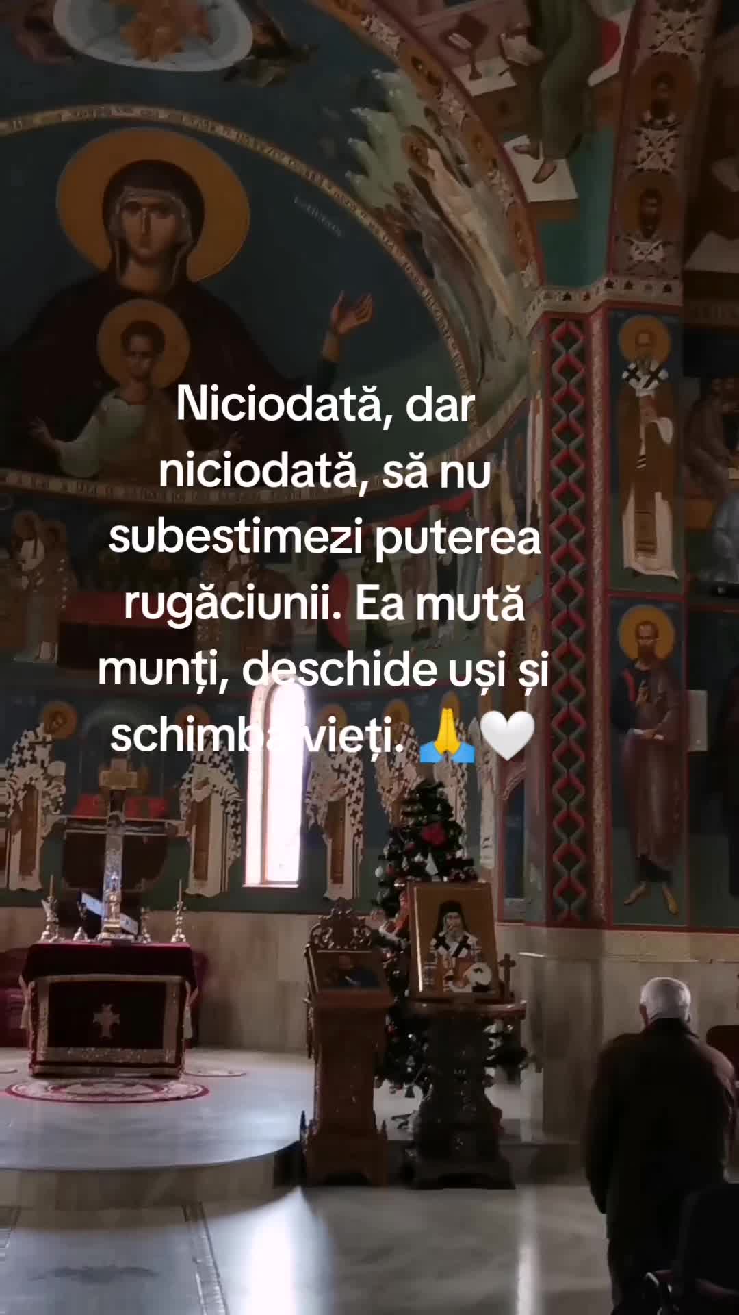 @Nița Foitoș