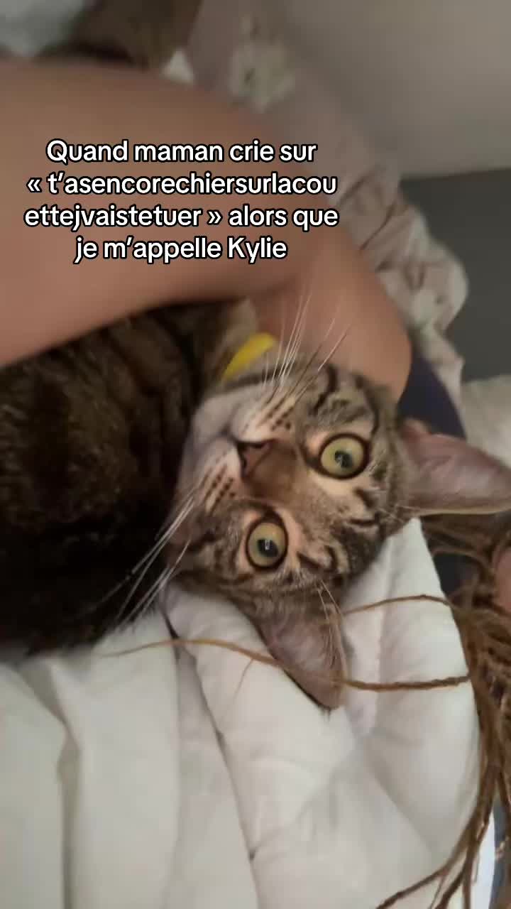 @Ninetta95z