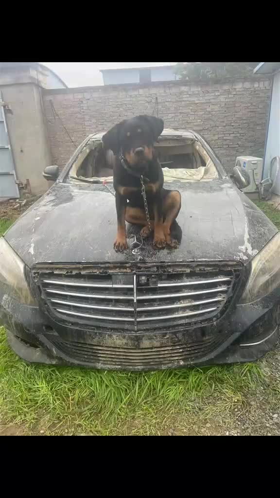 @EpicMotorMoves
